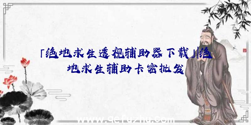 「绝地求生透视辅助器下载」|绝地求生辅助卡密批发